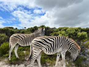 Wildlife & Ocean Retreat